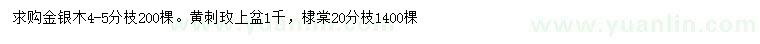 求購金銀木、黃刺玫、棣棠
