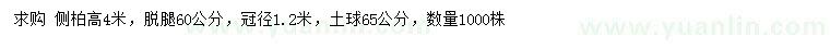 求購高4米側(cè)柏