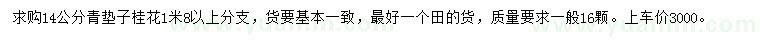 求購14公分桂花