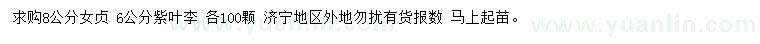 求購8公分女貞、6公分紫葉李