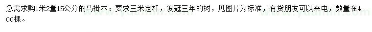 求購1.2米量15公分馬褂木