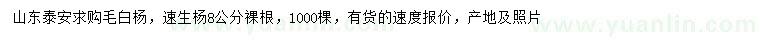 求購8公分毛白楊、速生楊