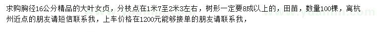 求購胸徑16公分大葉女貞