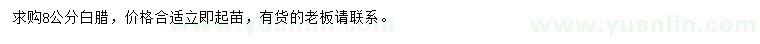 求購8公分白臘