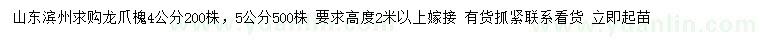 求購4、5公分龍爪槐