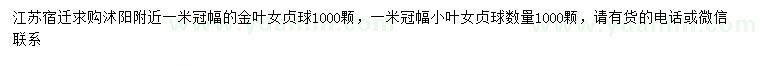 求購冠幅1米金葉女貞球、小葉女貞球