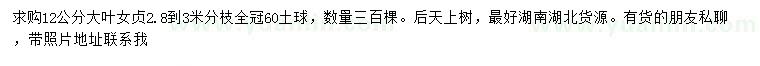 求購(gòu)12公分大葉女貞