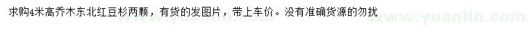 求購高4米東北紅豆杉