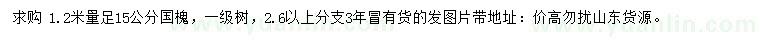 求購1.2米量15公分國槐