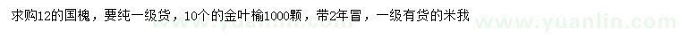 求購(gòu)12公分國(guó)槐、10公分金葉榆