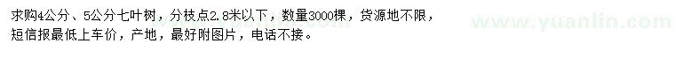 求購4、5公分七葉樹、河南南陽綠滿天下基地