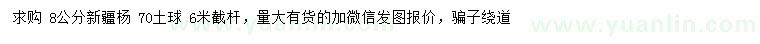 求購8公分新疆楊