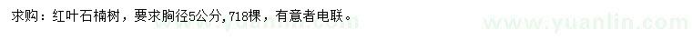 求購胸徑5公分紅葉石楠