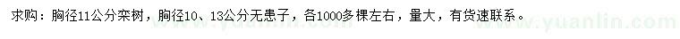 求購胸徑11公分欒樹、10、13公分無患子