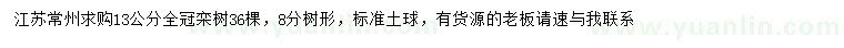 求購13公分欒樹