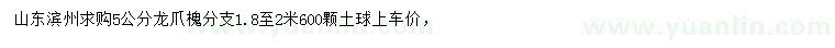 求購5公分龍爪槐