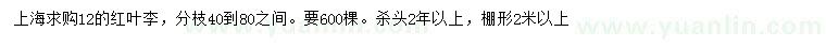 求購12公分紅葉李