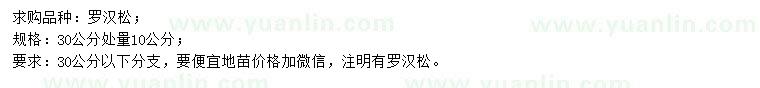 求購30公分量10公分羅漢松