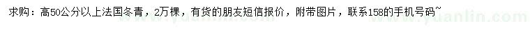 求購(gòu)高50公分以上法國(guó)冬青