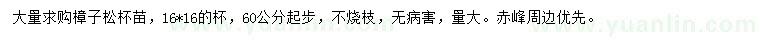 求購60公分以上樟子松