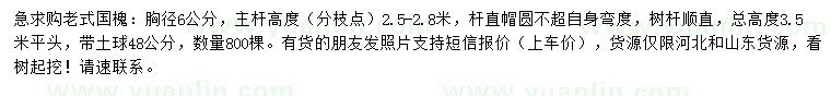 求購胸徑6公分老式國槐