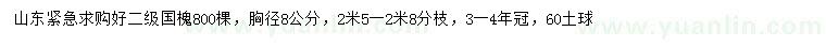 求購胸徑8公分國槐