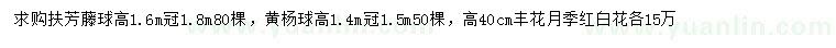 求購(gòu)扶芳藤球、黃楊球、豐花月季