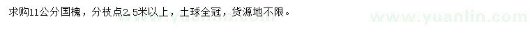 求購11公分國槐