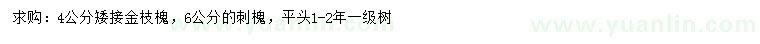 求購4公分矮接金枝槐、6公分刺槐