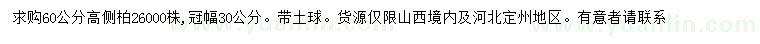 求購(gòu)高60公分側(cè)柏