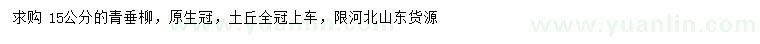 求購15公分青垂柳