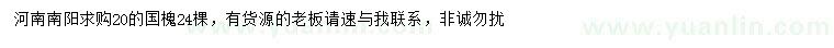求購20公分國槐