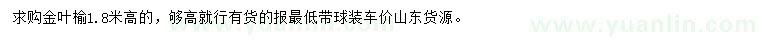 求購高1.8米金葉榆