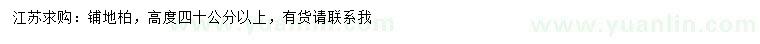 求購高40公分以上鋪地柏