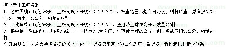 求購老式國槐、白皮臭椿、銀中楊