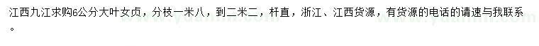 求購6公分大葉女貞