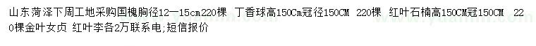 求購國槐、丁香球、紅葉石楠等
