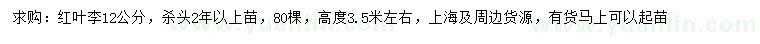求購12公分紅葉李