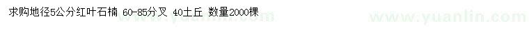 求購(gòu)地徑5公分紅葉石楠