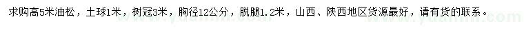 求購高5米油松