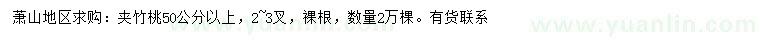 求購(gòu)50公分以上夾竹桃