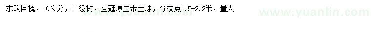 求購(gòu)10公分國(guó)槐