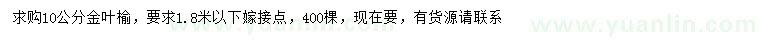 求購10公分金葉榆