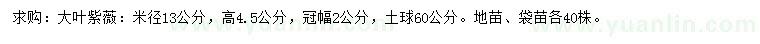 求購米徑13公分大葉紫薇