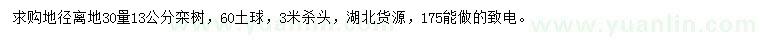求購離地30量13公分欒樹