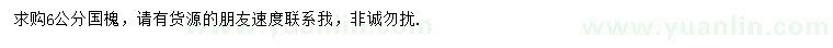 求購6公分國槐
