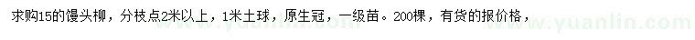 求購15公分饅頭柳