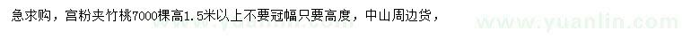 求購(gòu)高1.5米以上宮粉夾竹桃