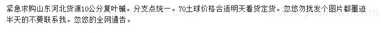 求購10公分復葉槭