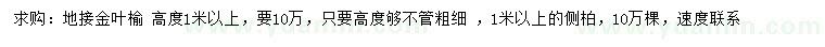 求購(gòu)高1米以上地接金葉榆
